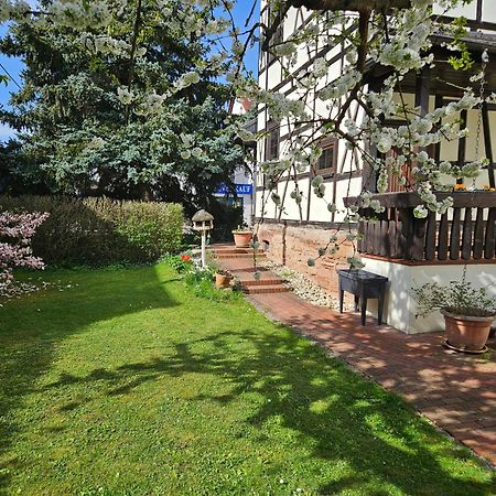 Apartments Am Saalebogen Mit Gartenterrasse, Grillkamin, Freie Parkplaetze Рудольштадт Екстер'єр фото