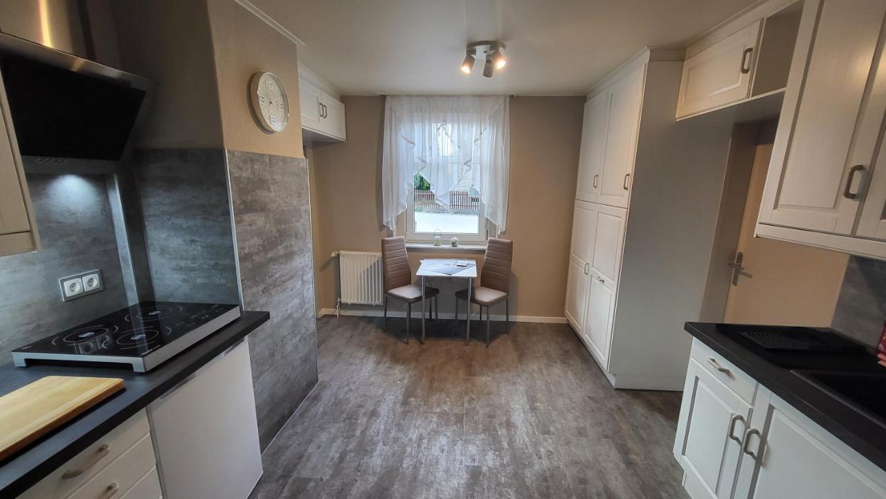 Apartments Am Saalebogen Mit Gartenterrasse, Grillkamin, Freie Parkplaetze Рудольштадт Екстер'єр фото