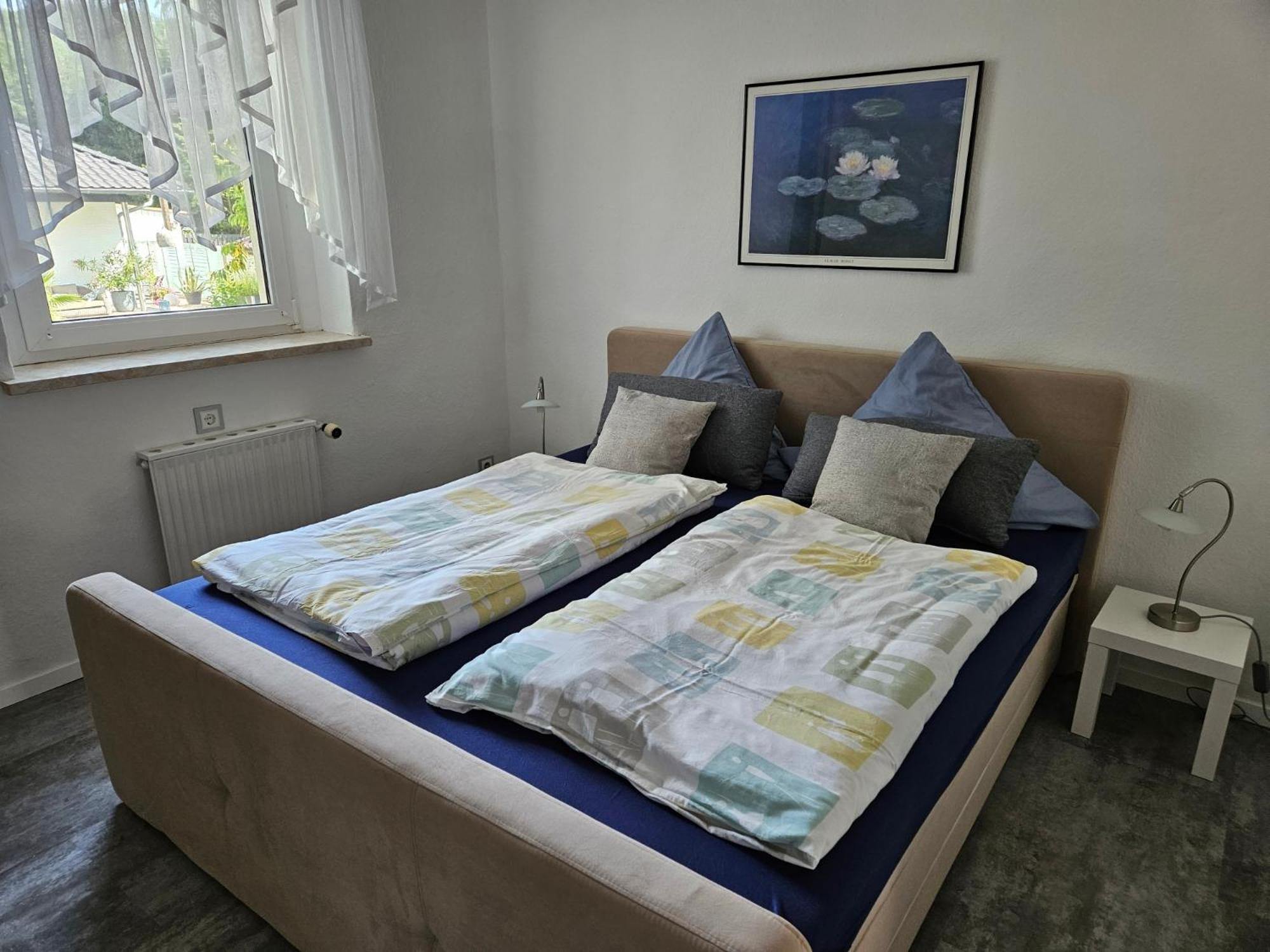 Apartments Am Saalebogen Mit Gartenterrasse, Grillkamin, Freie Parkplaetze Рудольштадт Екстер'єр фото