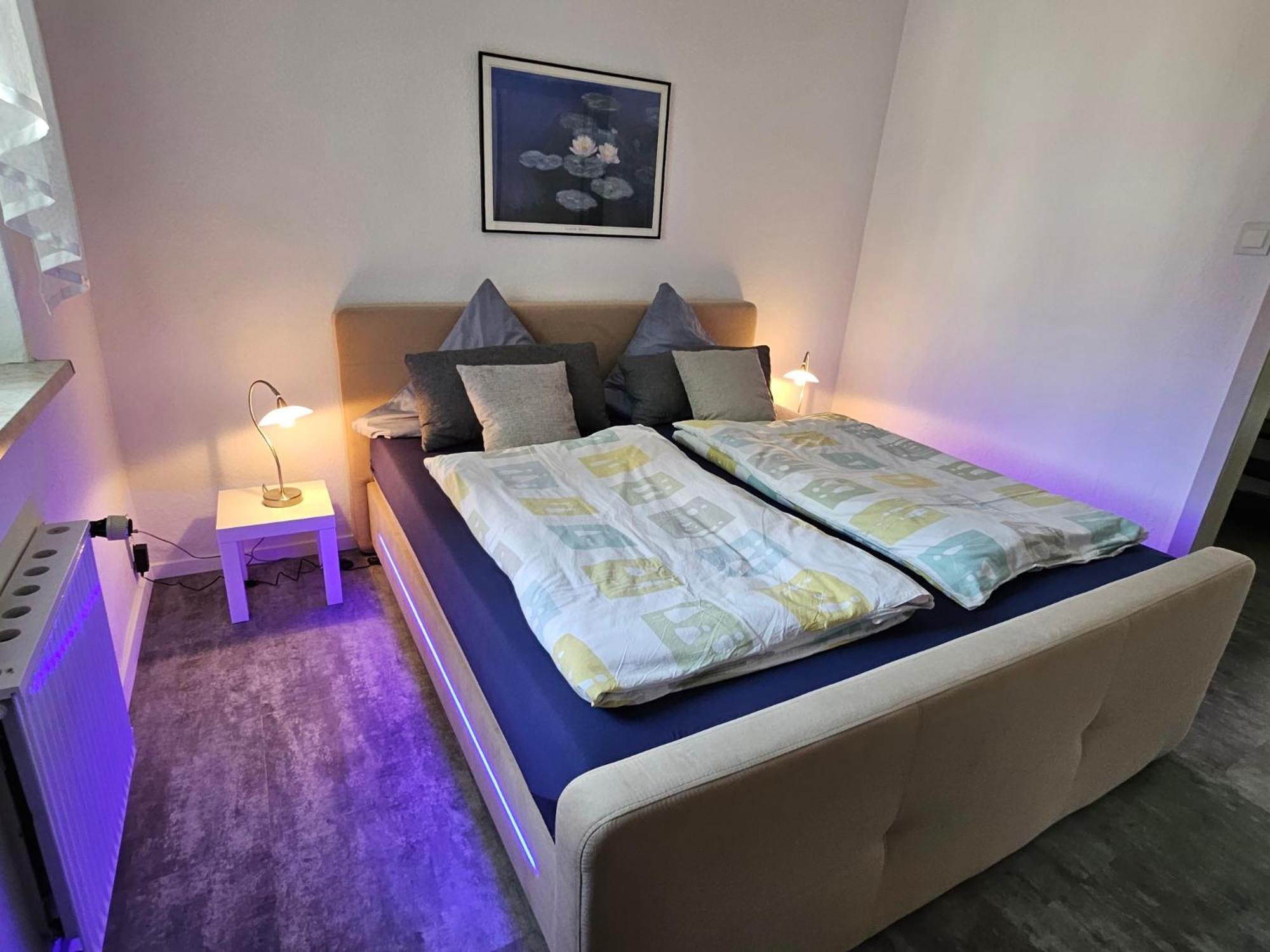 Apartments Am Saalebogen Mit Gartenterrasse, Grillkamin, Freie Parkplaetze Рудольштадт Екстер'єр фото