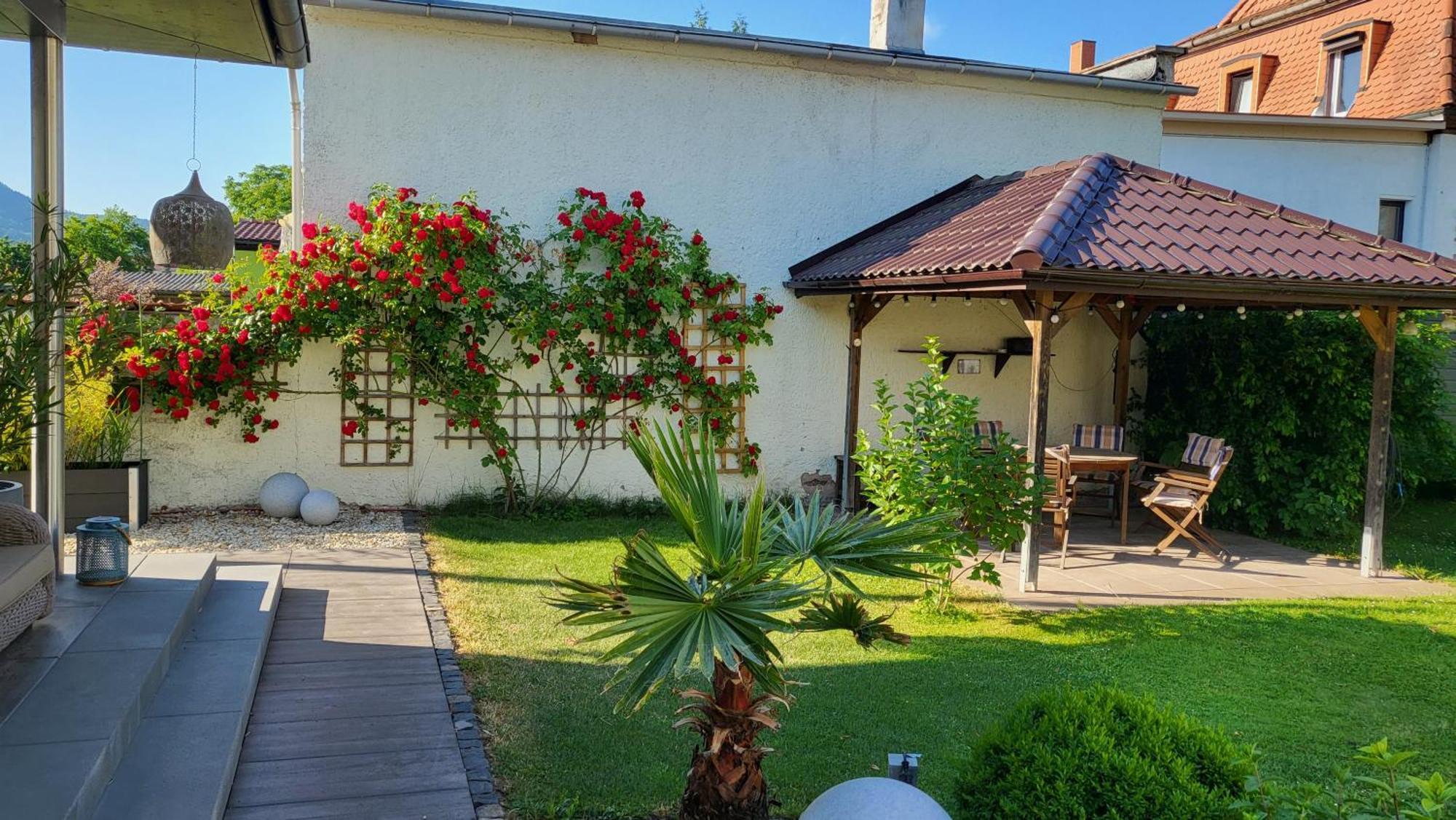 Apartments Am Saalebogen Mit Gartenterrasse, Grillkamin, Freie Parkplaetze Рудольштадт Екстер'єр фото