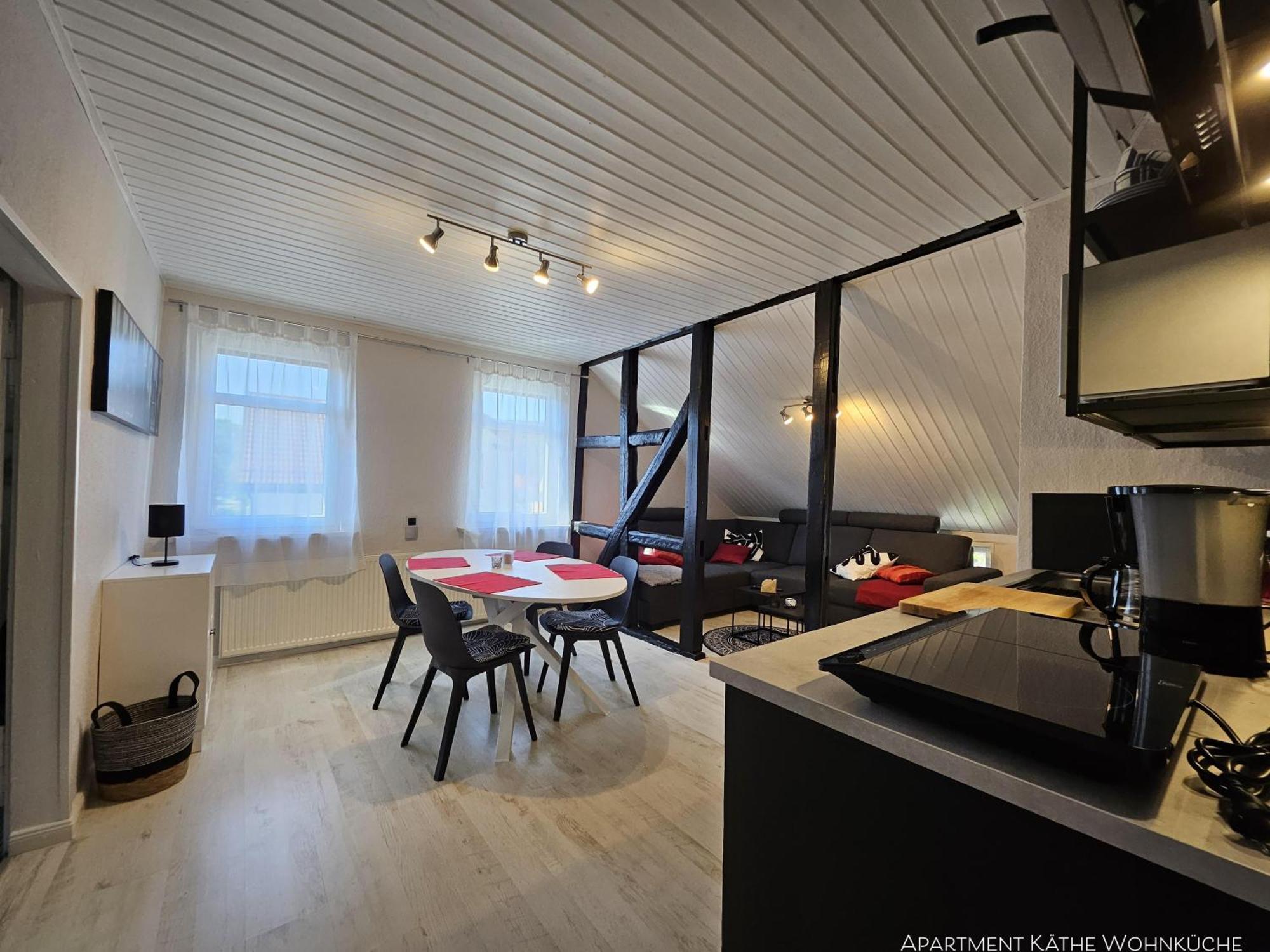 Apartments Am Saalebogen Mit Gartenterrasse, Grillkamin, Freie Parkplaetze Рудольштадт Екстер'єр фото