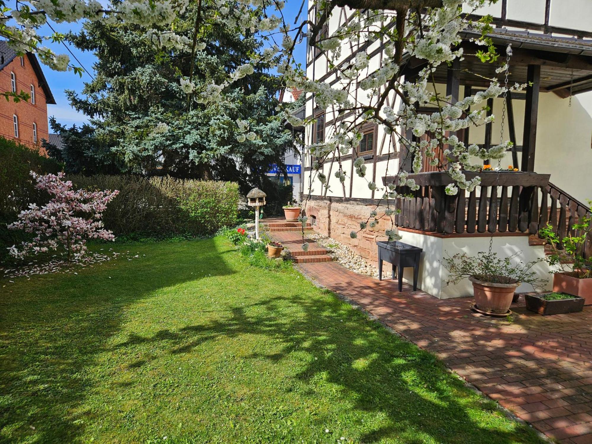 Apartments Am Saalebogen Mit Gartenterrasse, Grillkamin, Freie Parkplaetze Рудольштадт Екстер'єр фото